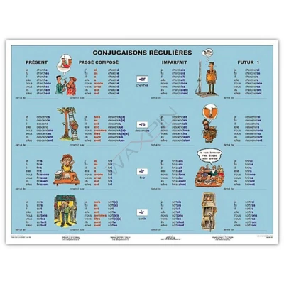 Conjugaisons Regulieres (Zasady koniugacji) - Plansza jednostronna MONO - język francuski