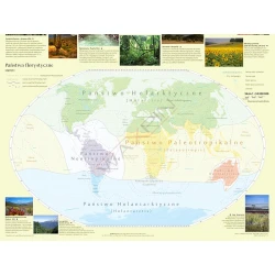 Mapa - Państwa florystyczne i formacje roślinne świata - mapa ścienna 