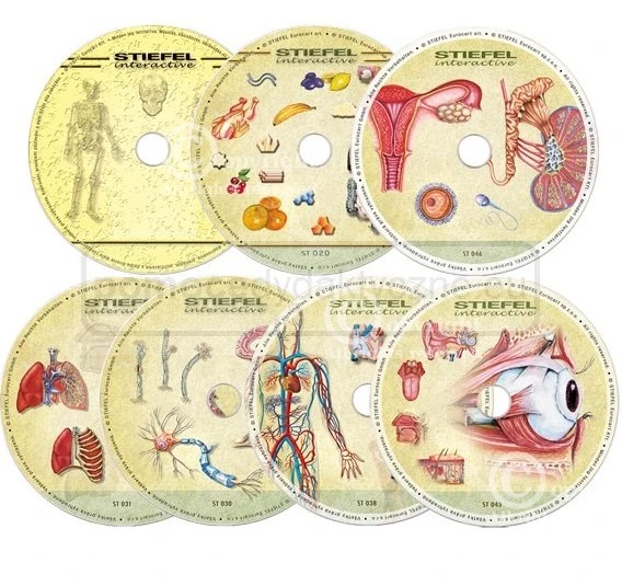 Anatomia człowieka, zestaw 7 programów - samouczki z ćwiczeniami - program interaktywny