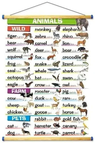 Animals: wild, farm, pets - plansza - język angielski