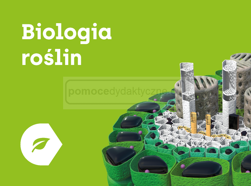 Biologia Roślin INTERAKTYWNE MODELE 3D Corinth 