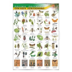 Biologia - zoologia - flora i fauna - 14 sztuki, zestaw plansz