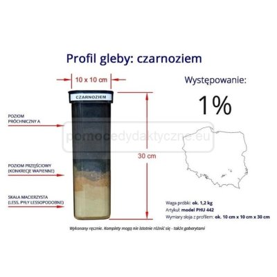 Czarnoziem – profil gleby 