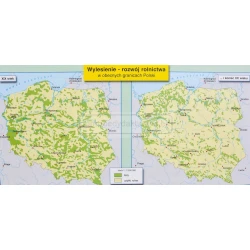 Dwustronna mapa ścienna – Polska - Składniki krajobrazu / Zmiany w krajobrazie