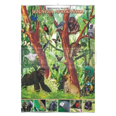 Dżungla afrykańska – zwierzęta w środowisku - plansza