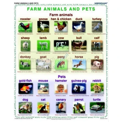 Farm animals and pets - ścienna plansza dydaktyczna