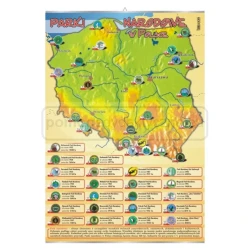 Geografia – Mapy Polski i kontynentów, 11 sztuk – zestaw plansz