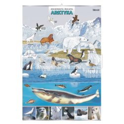 Geografia – Zwierzęta w środowisku, 12 sztuk – zestaw plansz