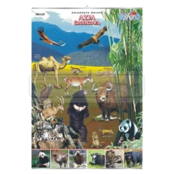 Geografia – Zwierzęta w środowisku, 12 sztuk – zestaw plansz