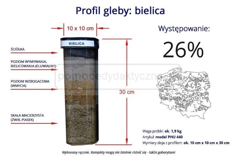 Gleba bielicowa – profil gleby