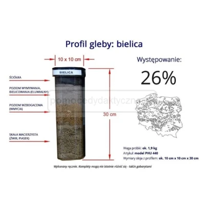 Gleba bielicowa – profil gleby