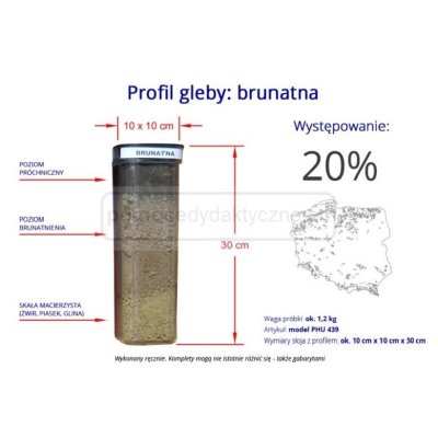 Gleba brunatna - profil gleby 