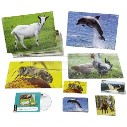 Karty obrazkowe i dźwięki zwierząt