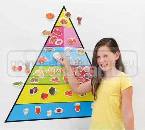 Magnetyczna piramida żywienia - sama plansza 90x90cm