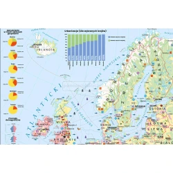 Mapa gospodarcza Europy - mapa ścienna 