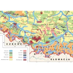 Mapa Rodzaje gleb w Polsce - mapa ścienna 
