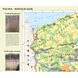 Mapa Rodzaje gleb w Polsce - mapa ścienna 