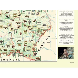 MAPA Zoogeografia Polski - mapa ścienna 