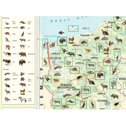 MAPA Zoogeografia Polski - mapa ścienna 