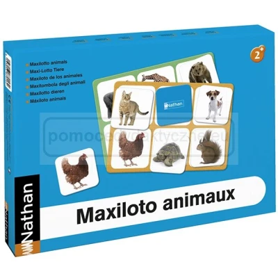 Maxiloto – Zwierzęta. Karty obrazkowe.