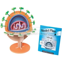 Model wirusa 3D