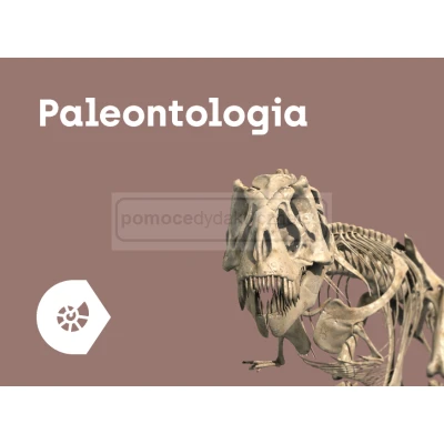 Paleontologia i Kultura INTERAKTYWNE MODELE 3D Corinth 