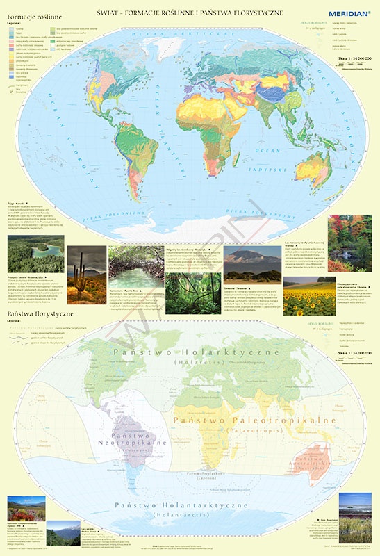 Mapa - Państwa florystyczne i formacje roślinne świata - mapa ścienna 