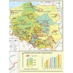 MAPA Polska - przemysł i energetyka - mapa ścienna (2022)