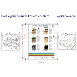 Profile gleb polskich -  plansza ścienna 120 x 160 cm, oprawa drewniana