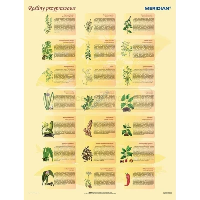 Rośliny przyprawowe - plansza dydaktyczna