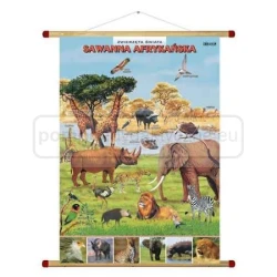 Sawanna afrykańska – zwierzęta w środowisku - plansza