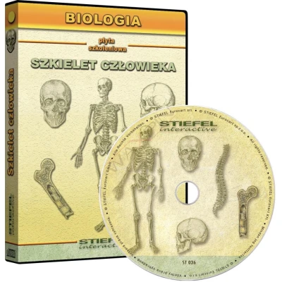 Anatomia człowieka, Szkielet człowieka - program interaktywny 