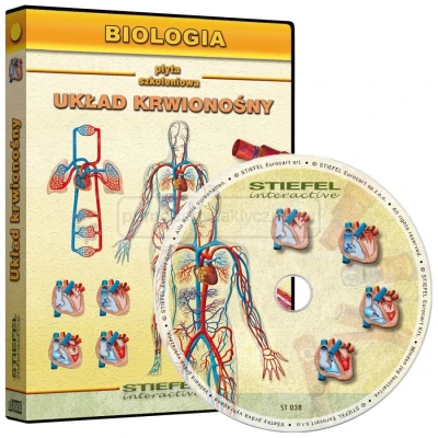 Anatomia człowieka, Układ krwionośny człowieka - program interaktywny