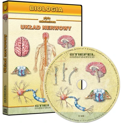 Anatomia człowieka, Układ nerwowy - program interaktywny