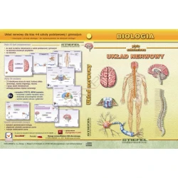 Anatomia człowieka, Układ nerwowy - program interaktywny