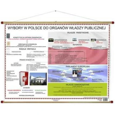 WYBORY w Polsce do organów władzy publicznej WDS, plansza
