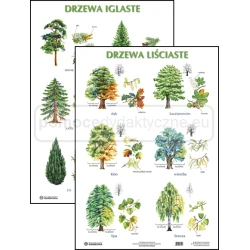 Plansze – PRZYRODA – Zestaw nr 5 plansze zalaminowane /5 szt./ 